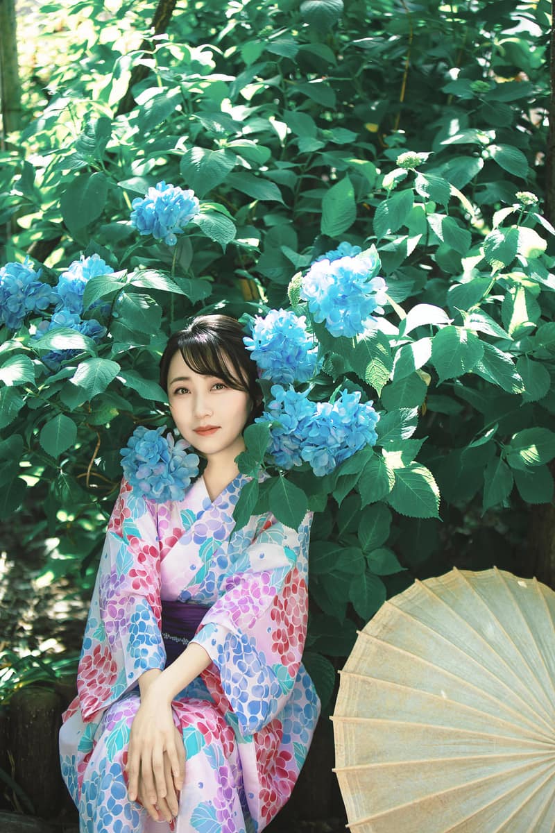青い紫陽花の茂みのそばに腰かけた紫陽花柄の着物姿。かたわらに番傘