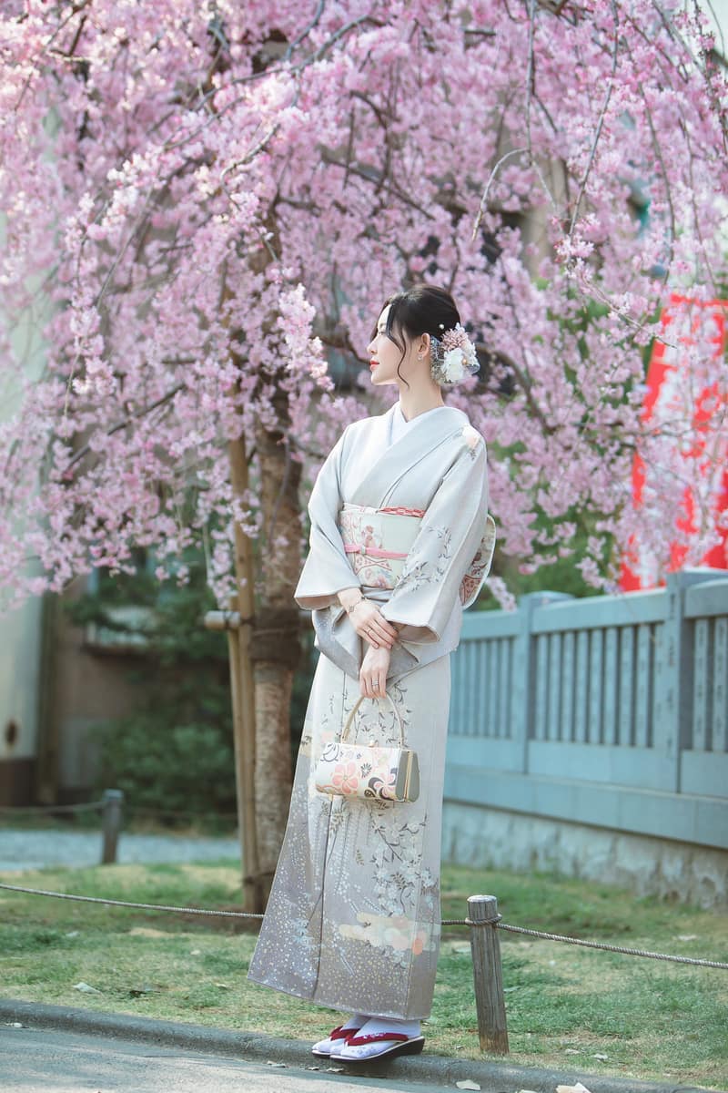 Pale grey homongi with a patterned hem, worn beneath weeping cherry blossom